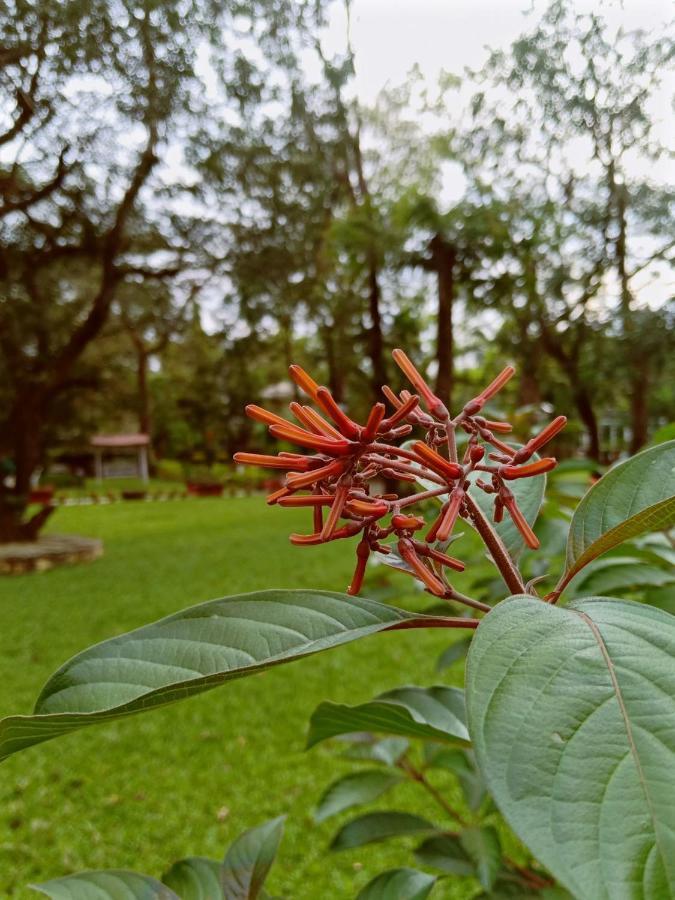 Krisna All Suite Stay Lonavala Buitenkant foto